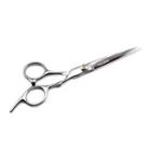 Stainless Steel Hair Scissors Silver - One Size