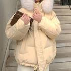 Furry Trim Hooded Padded Jacket / Midi Coat