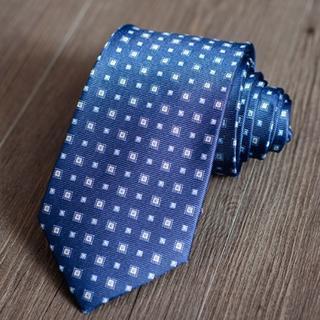 Patterned Silk Neck Tie Zs55 - One Size