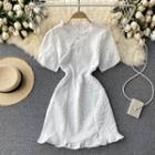 Round-neck Short-sleeve Puff-sleeve Dress