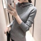 Hooded Long Knit Top Gray - One Size