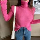 Long-sleeve Plain Knit Turtleneck Sweater