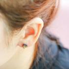 Ceramic Ear Studs