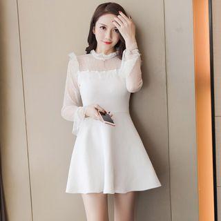 Dotted Mesh Panel Long Sleeve A-line Dress