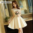 Lace Cap Sleeve A-line Dress
