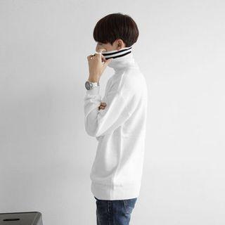 Striped Turtle-neck Sweater