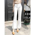 Flat-front Semi Boot-cut Pants
