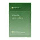 Nature Republic - Ginseng Royal Silk Gold 2 Step Hydro Gel Mask 1pc