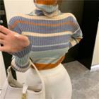 Turtleneck Sweater Blue & Light Blue & Beige - One Size