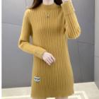 Semi Turtleneck Plain Ribbed Mini Sweater Dress