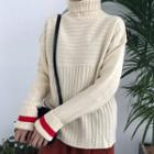 Color-block Striped Turtle-neck Sweater