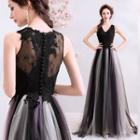 Sleeveless Lace Paneled Mesh A-line Evening Gown