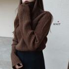Plain Turtleneck Sweater / High-waist A-line Skirt