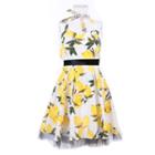 Printed Halter A-line Dress