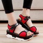 Platform Velcro Sandals