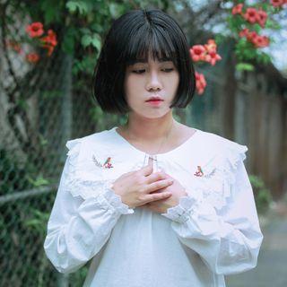 Bird Embroidery Collared Blouse As Shown In Figure - One Size