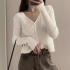 Long-sleeve V-neck Pinstripe Plain Top