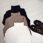 Turtleneck Plain Long-sleeve T-shirt