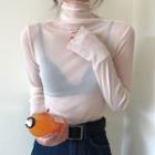 Long-sleeve Sheer Turtleneck T-shirt