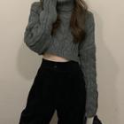 Chunky Knit Turtleneck Cropped Sweater