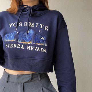 Embroider Letter Hooded Long-sleeve Sweatshirt