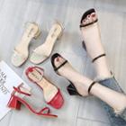 Transparent Chunky-heel Sandals