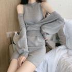 Set: Sleeveless Mini Knit Sheath Dress + Long-sleeve Top