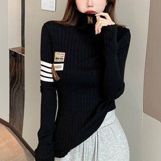 Details Turtleneck Skinny Knit Top