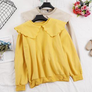 Collared Plain Pullover