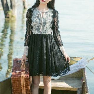 Panel Long Sleeve A-line Lace Dress