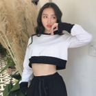 Color-block Round-neck Long-sleeve Cropped Top