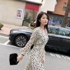 Surplice-neck Maxi Leopard Dress