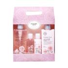 The Face Shop - Perfume Seed Velvet Special Body Set: Capsule Body Wash 300ml + 60ml + Body Milk 300ml + 60ml 4pcs