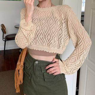 Pointelle Knit Cropped Sweater / Camisole Top
