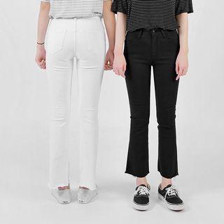 Boot-cut Pants (petite/tall)