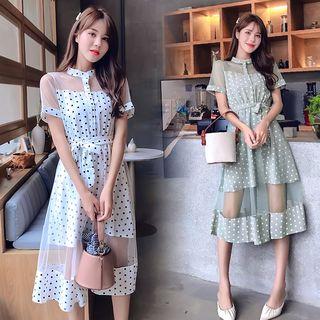 Mesh Panel Dot Print Short Sleeve Chiffon Dress