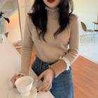 Semi High-neck Lace Trim Long-sleeve Knit Top