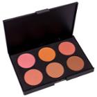 Shany - Fuchsia 6 Blush Palette - Compact As Figure Shown