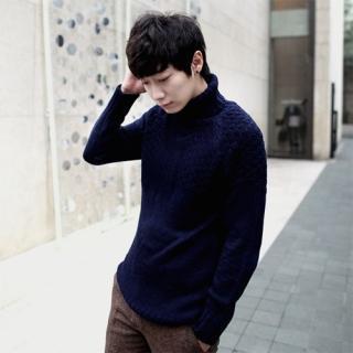 Turtle-neck Raglan-sleeve Knit Top