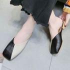 Color Panel Mules