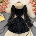 Mesh Sleeve Velvet A-line Dress