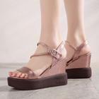 Open Toe Ankle Strap Wedge Platform Sandals