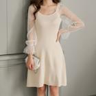 Dotted Mesh-sleeve Ruffled A-line Dress