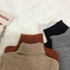 Plain Turtleneck Long-sleeve Slim-fit Sweater