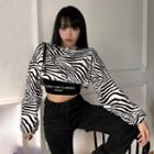 Set: Zebra Sweatshirt + Lettering Camisole Top