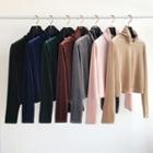 Plain Velvet Turtle-neck Cropped Top