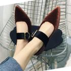 Pointed Buckled Velvet Flats