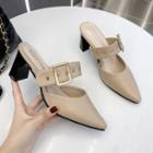 Pointy-toe Buckled Strap Chunky Heel Mules
