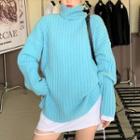 Long-sleeve Plain T-shirt / Turtleneck Sweater