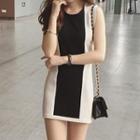 Sleeveless Color Block Sheath Dress